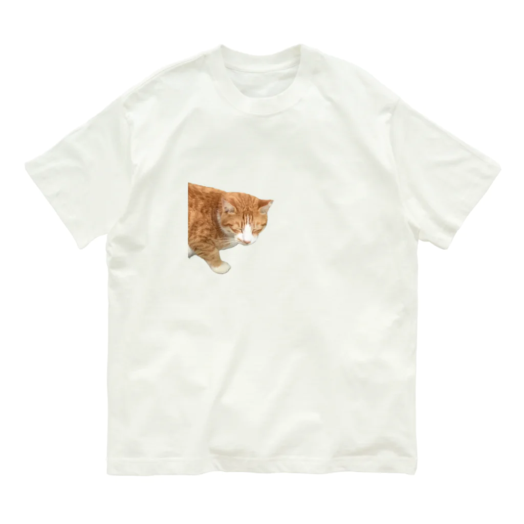 高橋のひょっこり猫 オーガニックコットンTシャツ