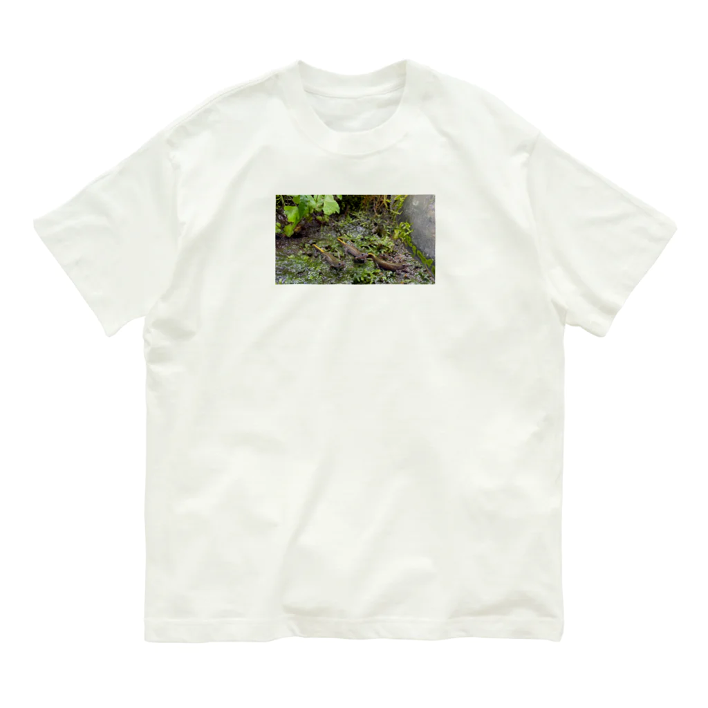 CRAYFISHのカスミん オーガニックコットンTシャツ