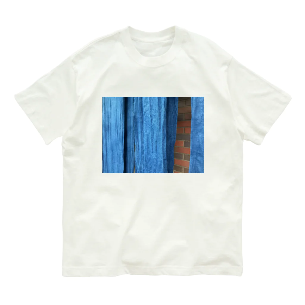 ペー魚マンターの藍 Organic Cotton T-Shirt