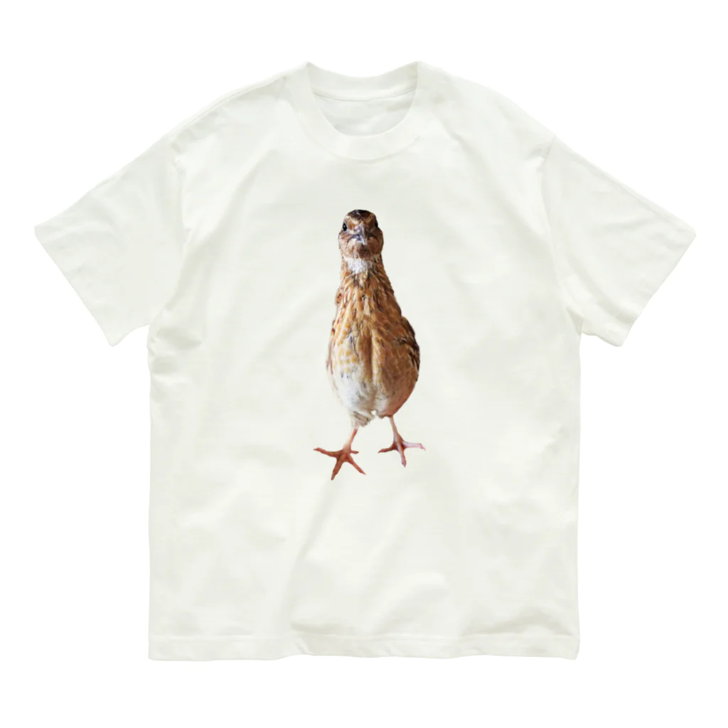 うずぴよの伸びるウズラ オーガニックコットンTシャツ