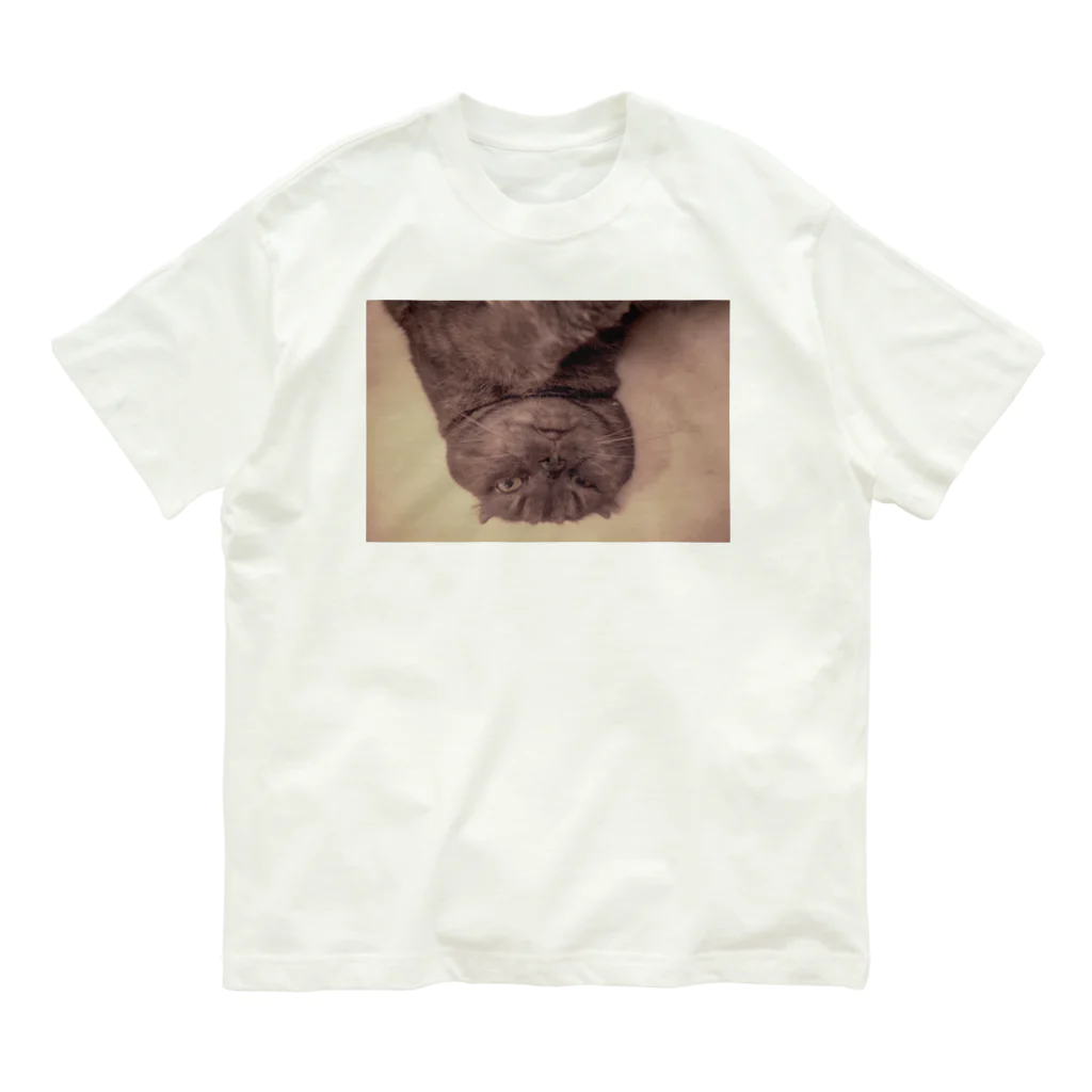 Lazycatのうちの猫ちゃん オーガニックコットンTシャツ