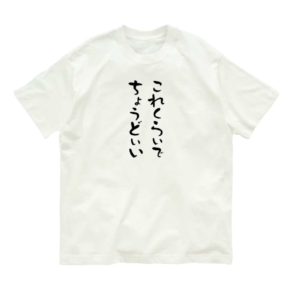 Graphic28の短所を長所にする服 オーガニックコットンTシャツ