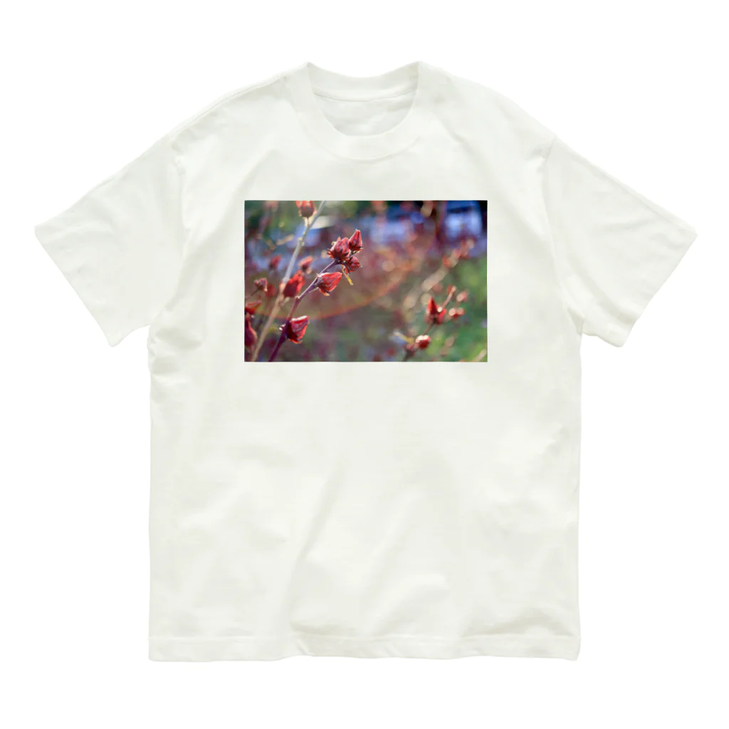 ハオハオのローゼル Organic Cotton T-Shirt