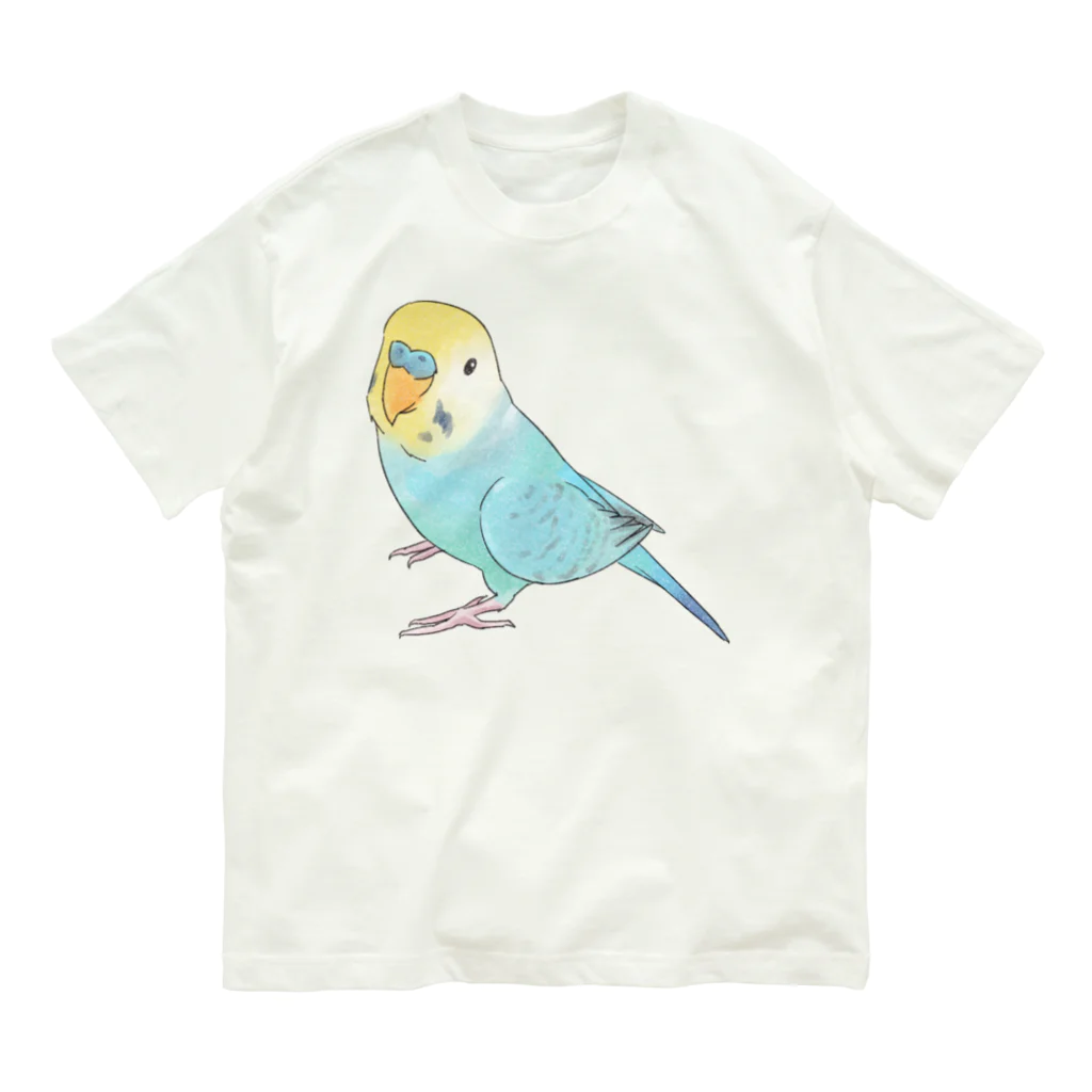 まめるりはことりの見上げるセキセイインコちゃん【まめるりはことり】 オーガニックコットンTシャツ