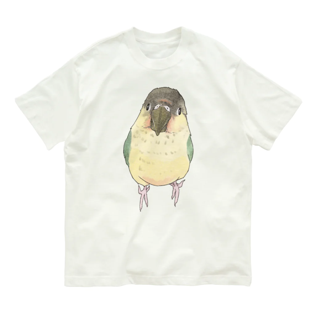 まめるりはことりの可愛いウロコメキシコインコちゃん【まめるりはことり】 Organic Cotton T-Shirt