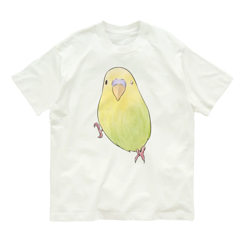 まめるりはことりのウィンクするセキセイインコちゃん【まめるりはことり】 オーガニックコットンTシャツ