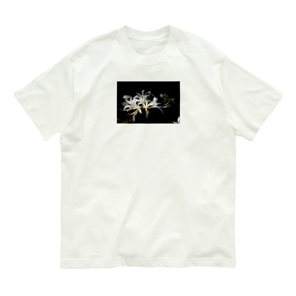 Takoikaの彼岸花(白) オーガニックコットンTシャツ