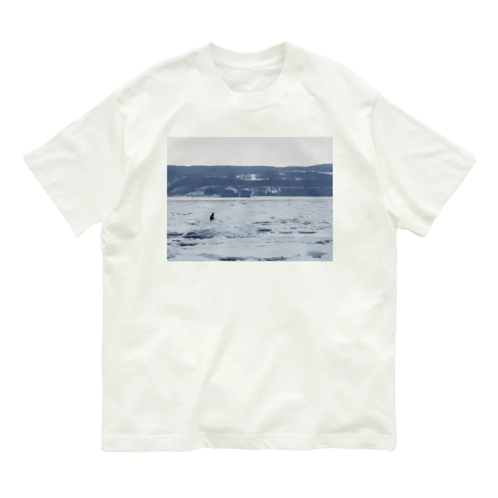 ハチドリ販売所の流氷と鳥 オーガニックコットンTシャツ