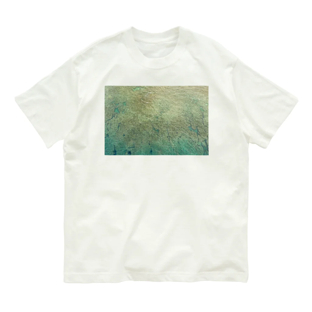 coyote brandのcoyote brand Drone shot T-shirts オーガニックコットンTシャツ