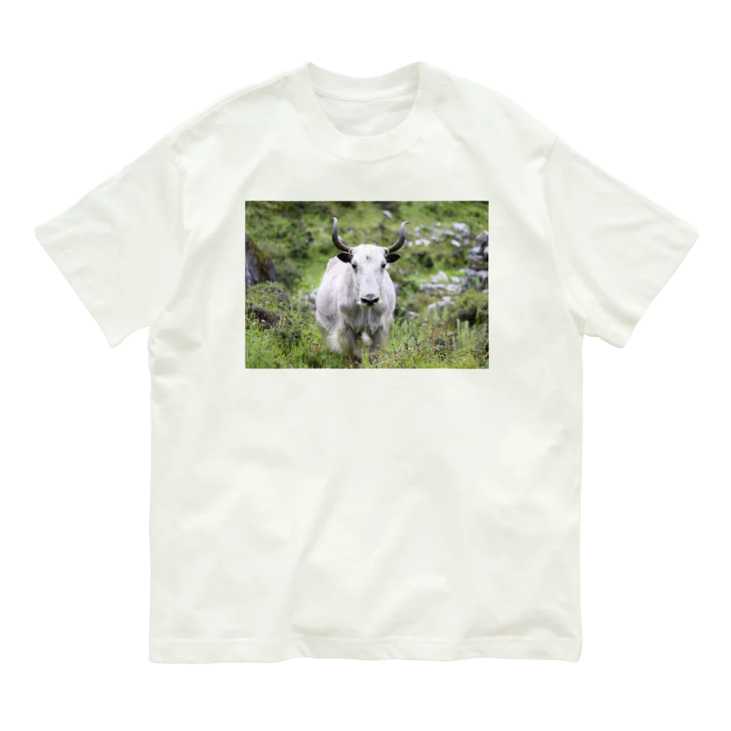 カメアートのカンナビスTシャツ Organic Cotton T-Shirt