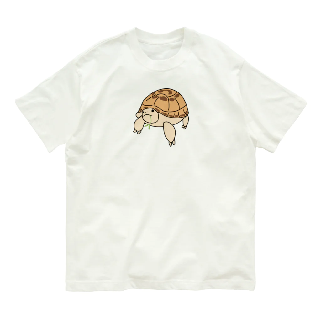 楽しいですの葉っぱをくわえた🐢リクガメの福丸 オーガニックコットンTシャツ