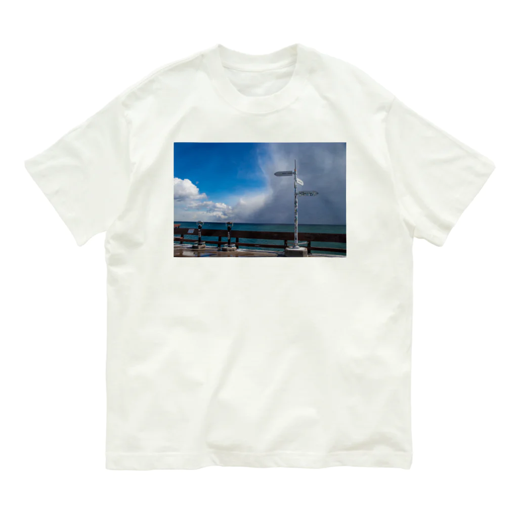 SURFのTronto is here オーガニックコットンTシャツ