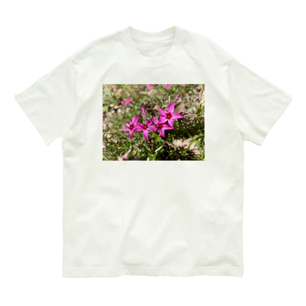 そらもようのシバザクラ Organic Cotton T-Shirt