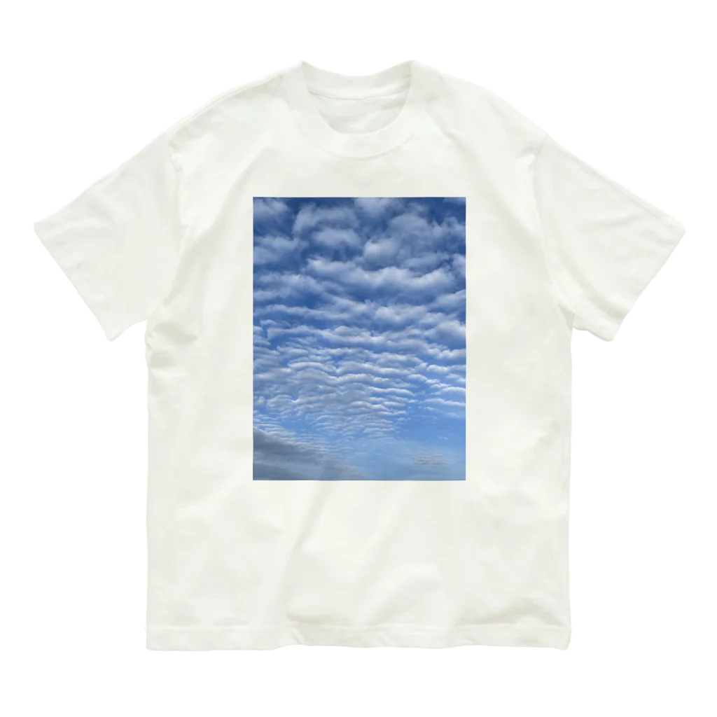 Rice Cube Dominoの春空 Organic Cotton T-Shirt