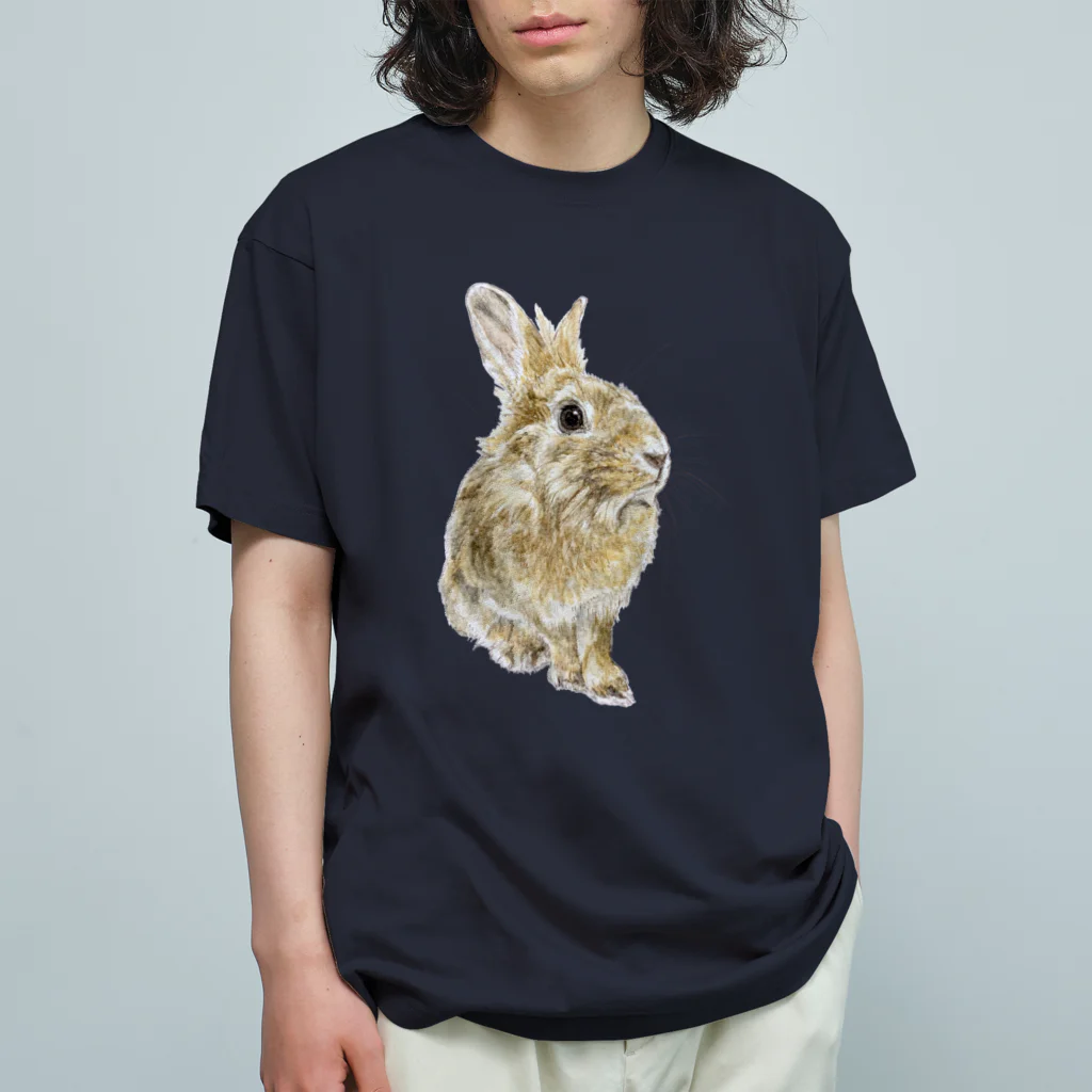 Gallery Neperoのきりっ（ぽんちゃん）影なし オーガニックコットンTシャツ