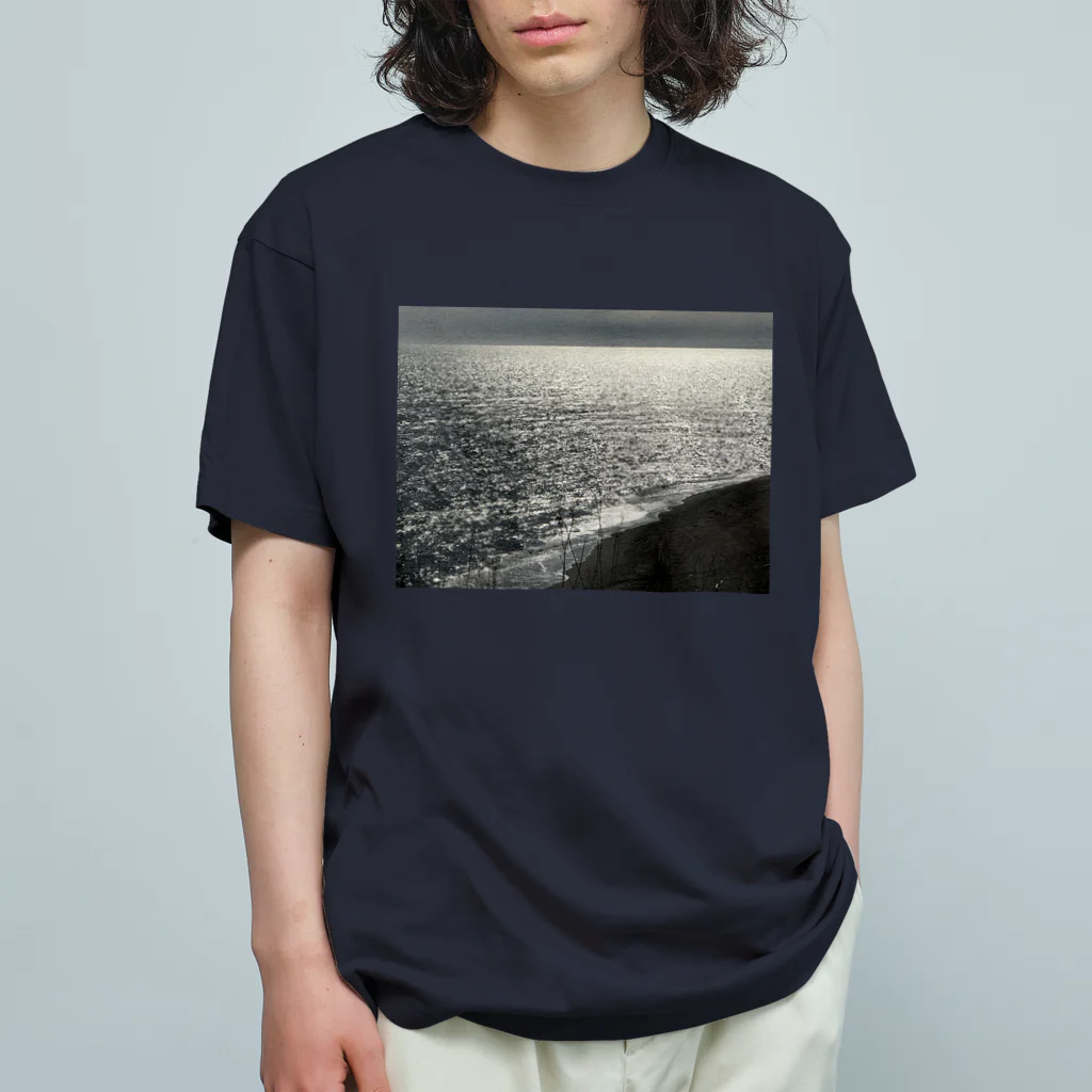 空屋　sorayakusakaの202004241513000　銀の海岸線 Organic Cotton T-Shirt