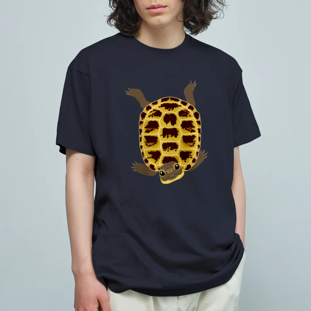 みのじのヨツユビリクガメ オーガニックコットンTシャツ