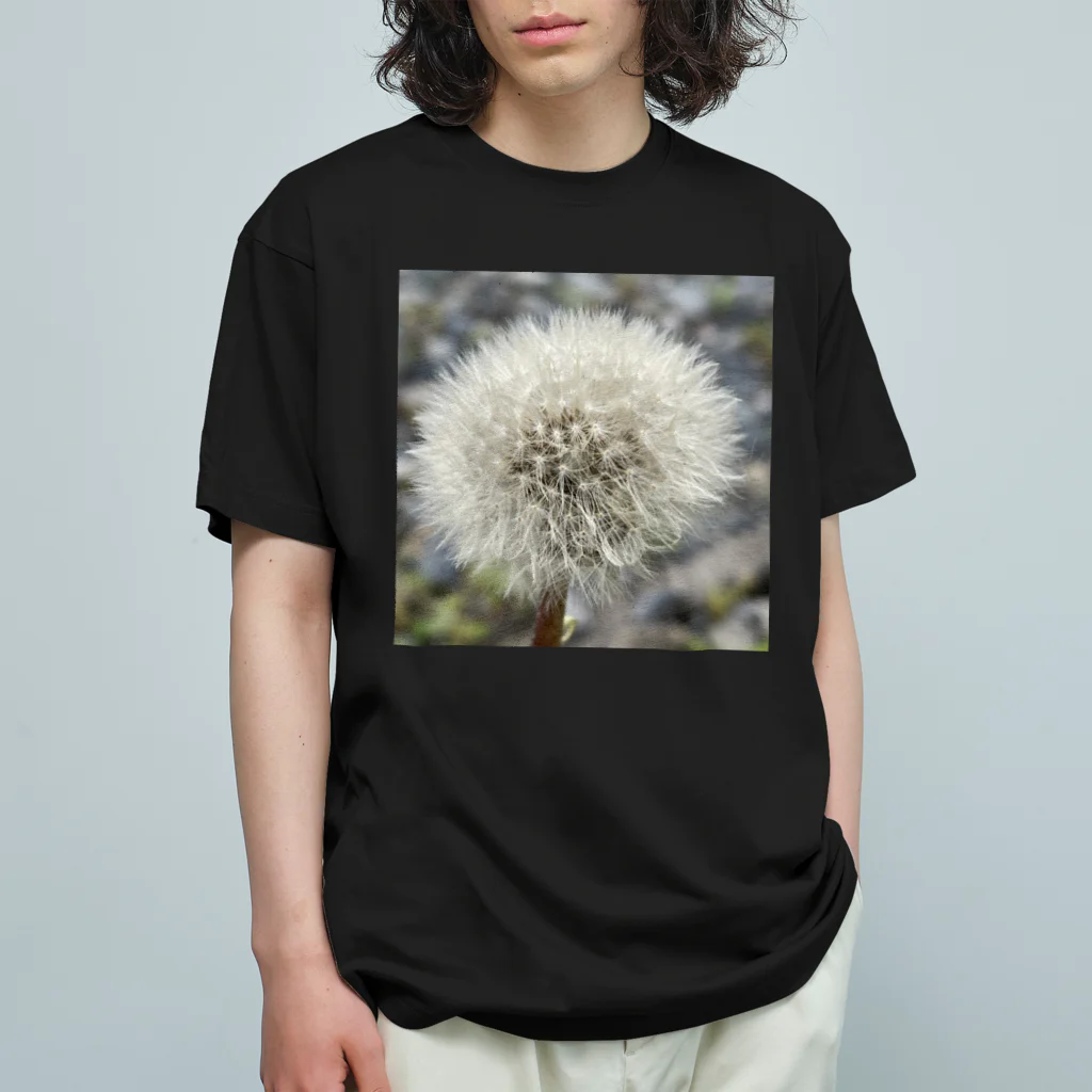 でおきしりぼ子の実験室のわたげのうたげ-正方形 Organic Cotton T-Shirt