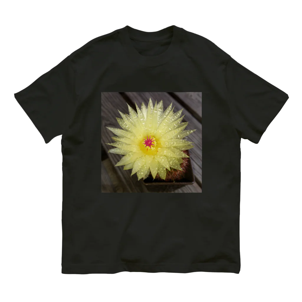 でおきしりぼ子の実験室のサボテンの花 オーガニックコットンTシャツ