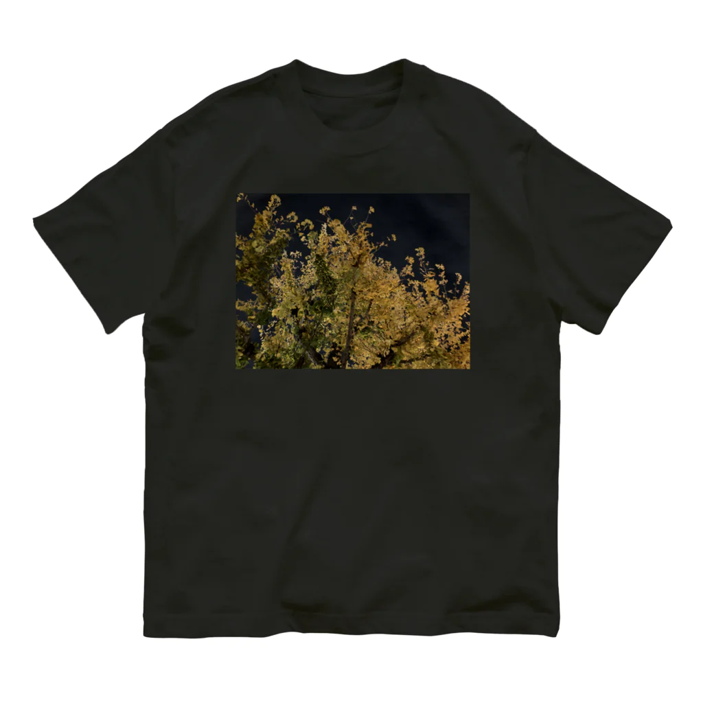 ぷりはむの部屋の夜のいちょう Organic Cotton T-Shirt