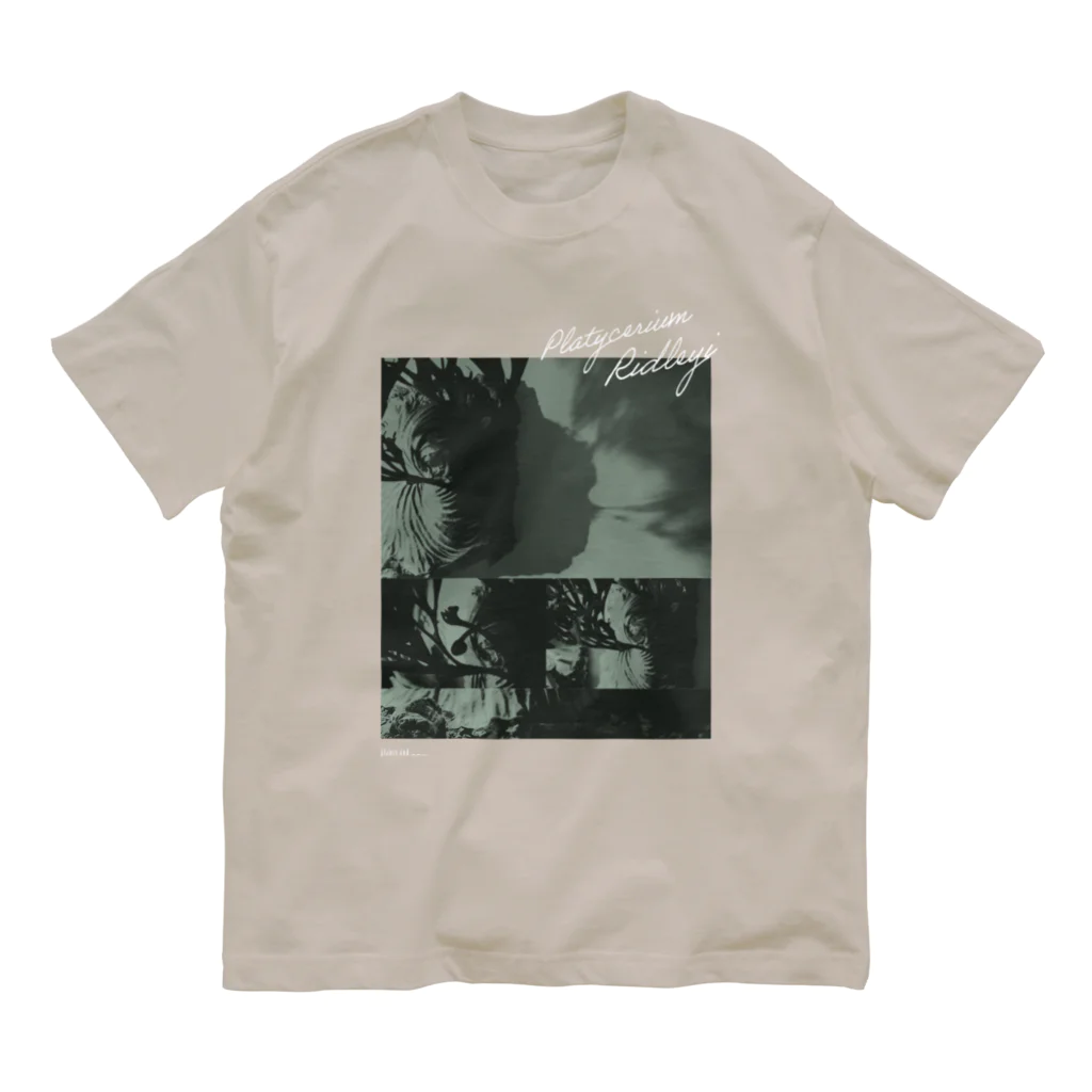 植物と___|のあの日のリドレイさんT（light & shadow） | design number 02 オーガニックコットンTシャツ