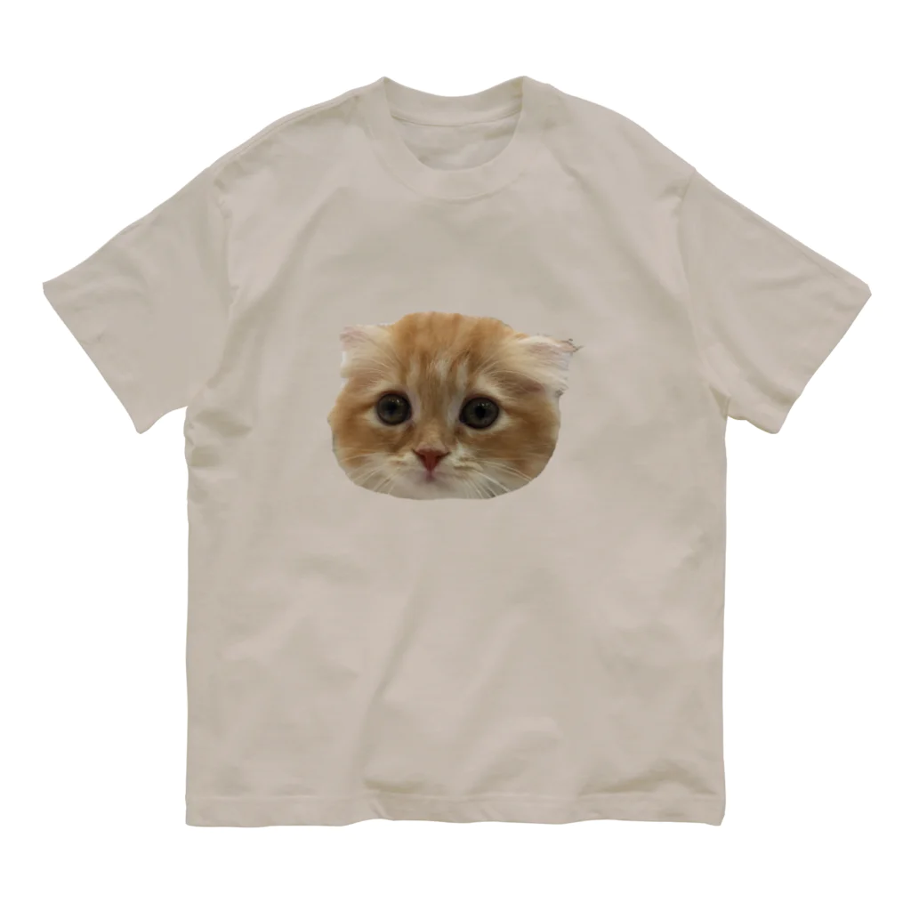 みーしーくう　三姉妹ねこのみえるんるん オーガニックコットンTシャツ