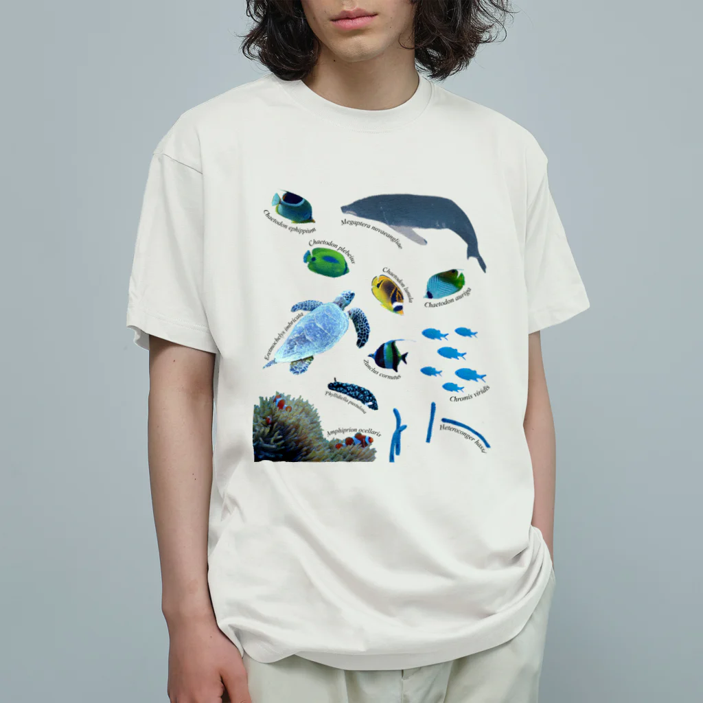 L_arctoaの沖縄の海の生き物 オーガニックコットンTシャツ