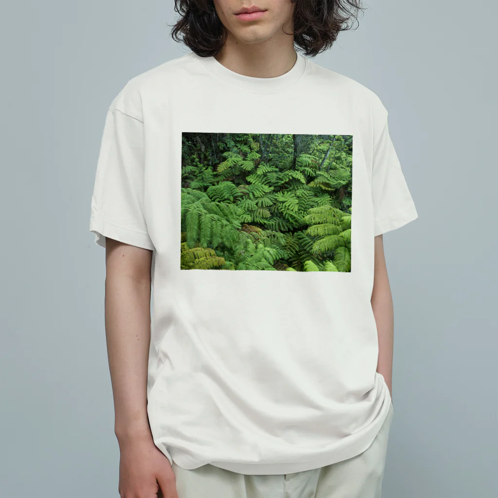 Hironori Murayama photographyのVOLCANO FOREST オーガニックコットンTシャツ