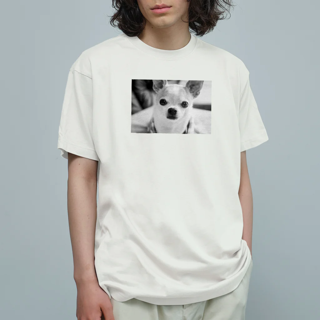 akane_art（茜音工房）のモノクロチワワ（おすまし） Organic Cotton T-Shirt