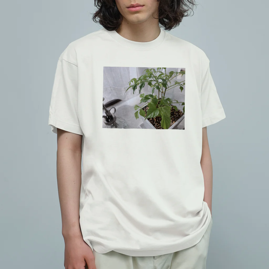 姉のぼくの草1 유기농 코튼 티셔츠
