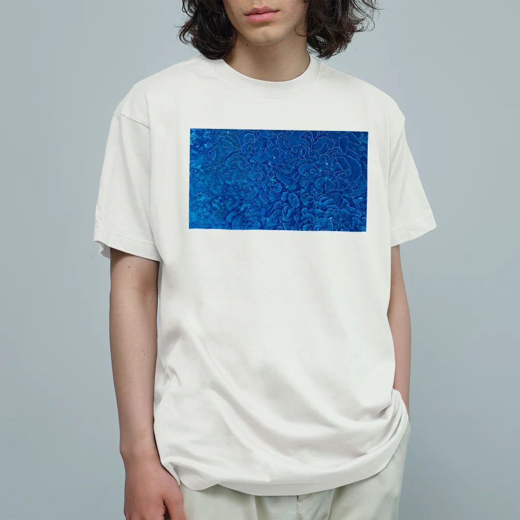 フラクタ　数学好きのあなたへのフラクタ　数学好きのあなたへ Organic Cotton T-Shirt