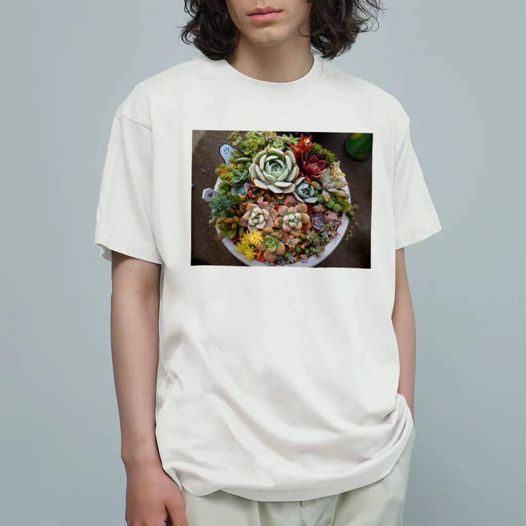 みきまるの写真の多肉植物寄せ植え Organic Cotton T-Shirt