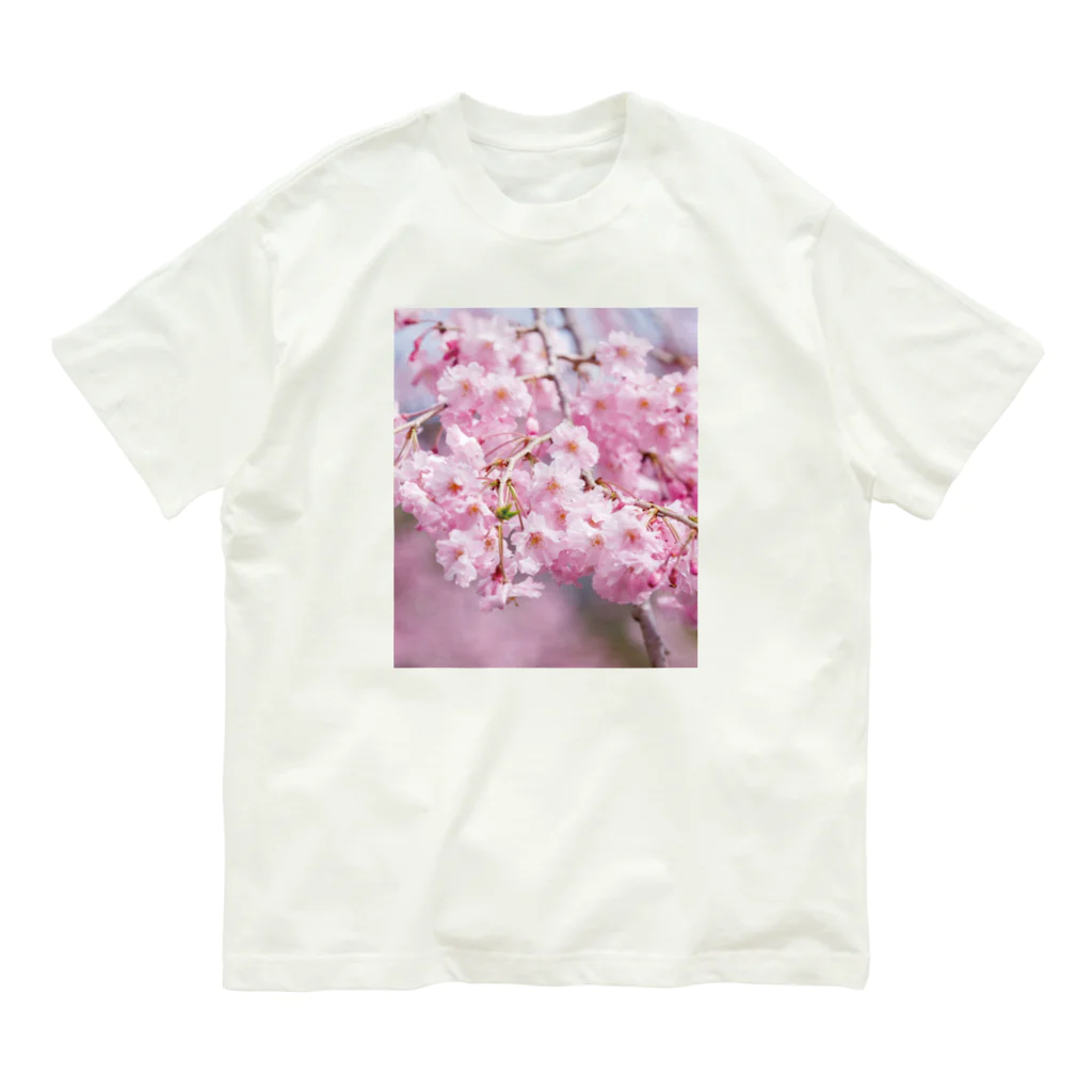 akane_art（茜音工房）の癒しの風景（八重桜） オーガニックコットンTシャツ