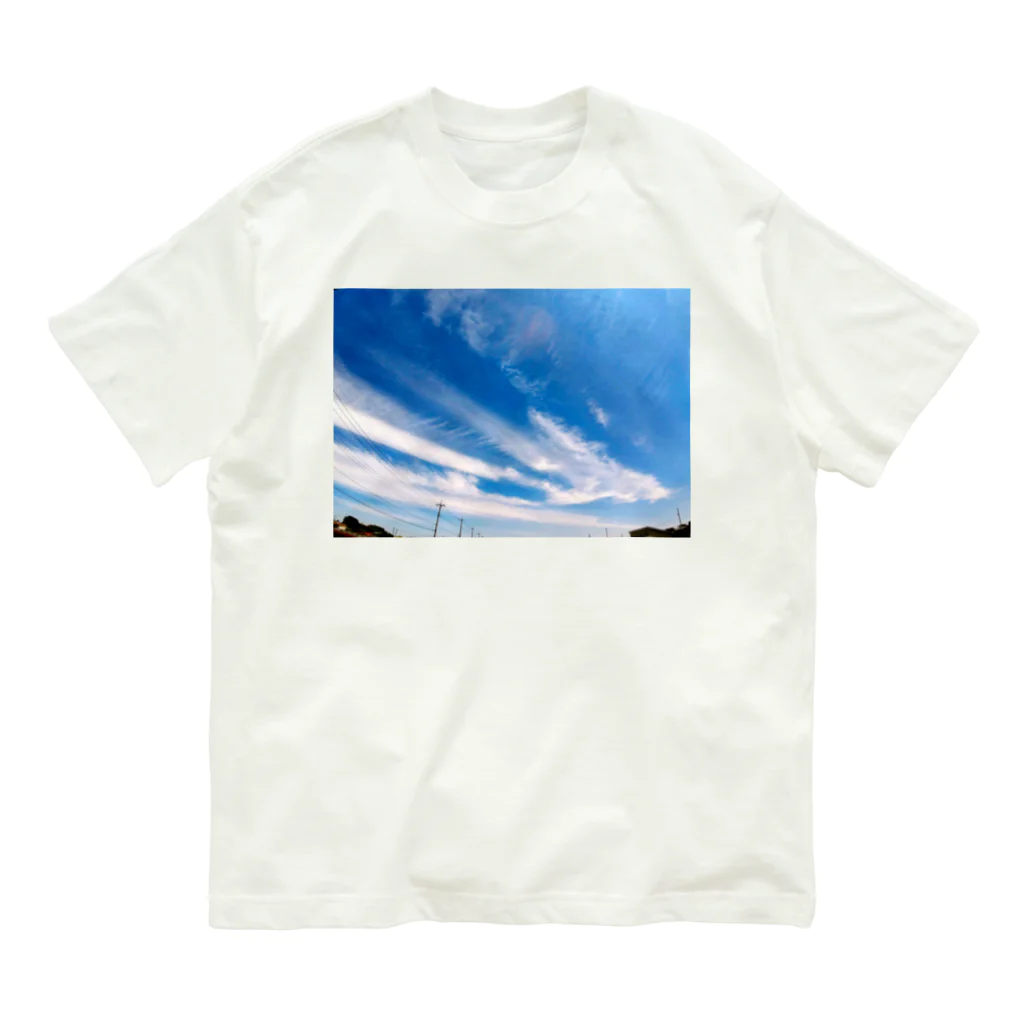 錆猫の館の風をまとう龍雲 オーガニックコットンTシャツ