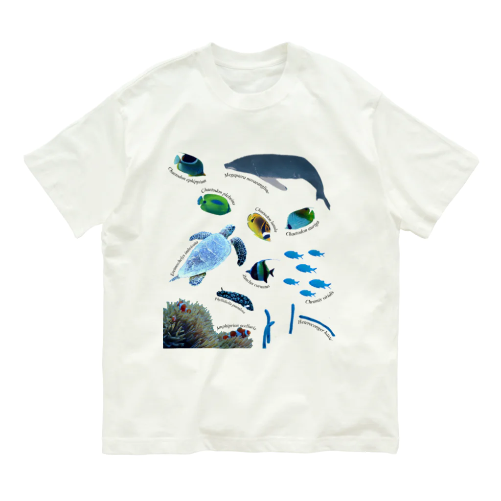 L_arctoaの沖縄の海の生き物 オーガニックコットンTシャツ