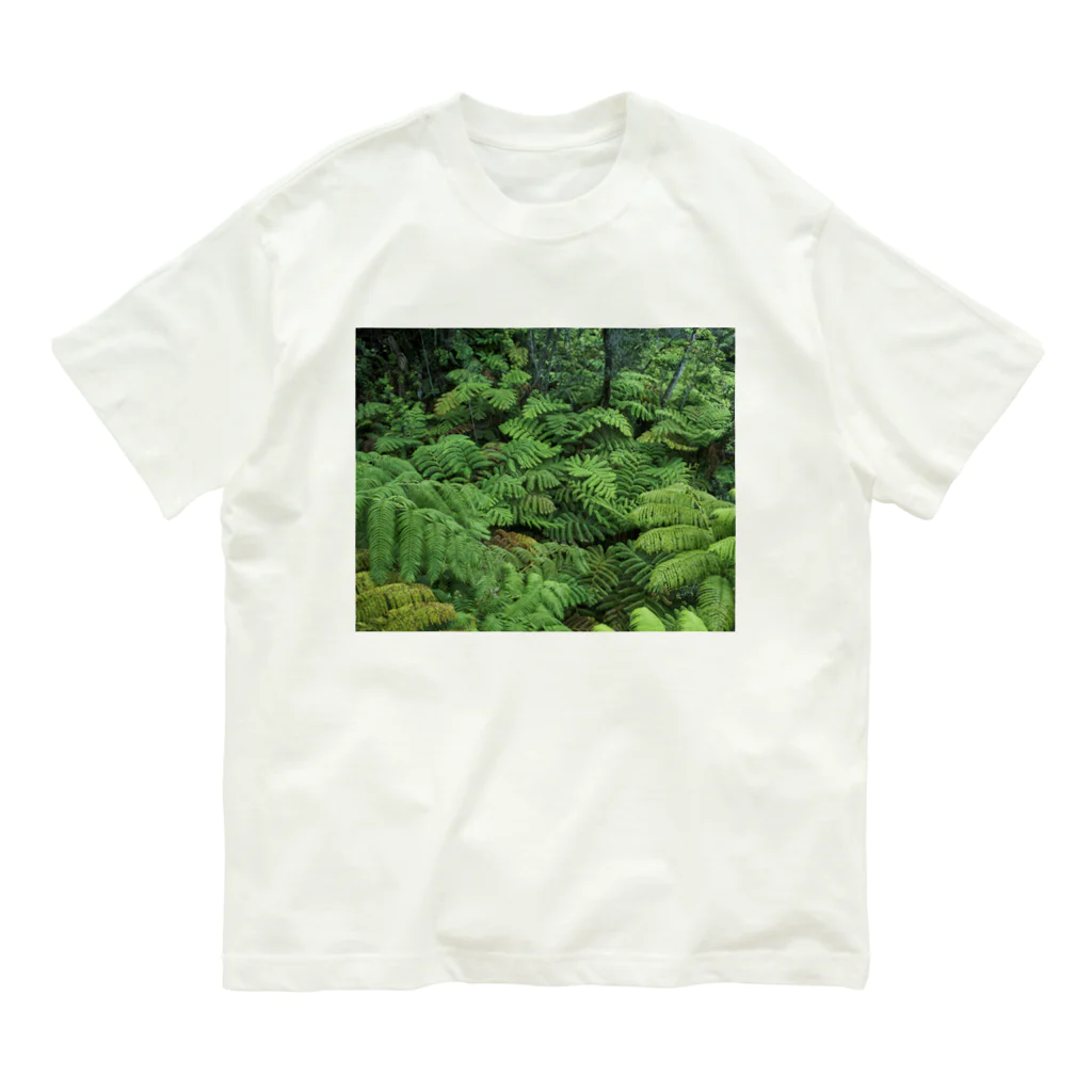 Hironori Murayama photographyのVOLCANO FOREST オーガニックコットンTシャツ