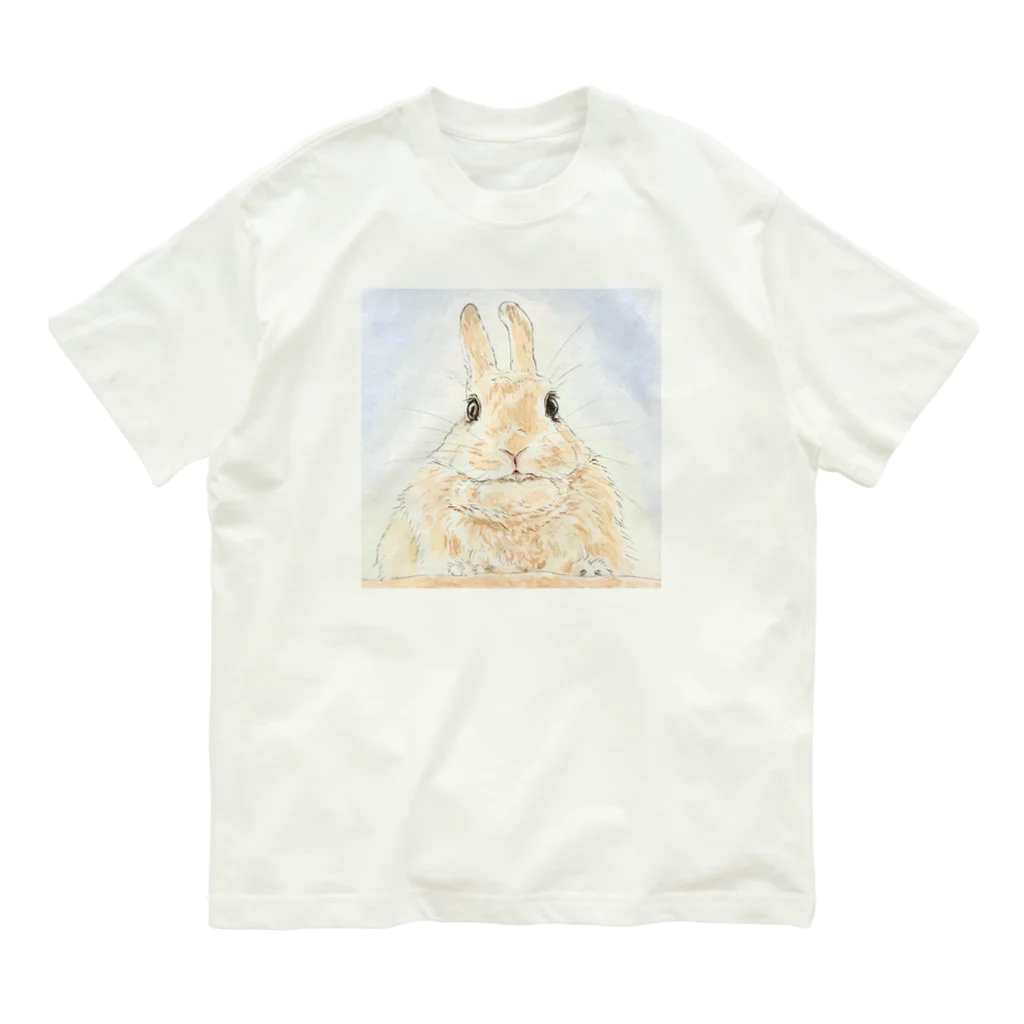 Gallery Neperoのみかん🍊ちゃん(ましかく) オーガニックコットンTシャツ