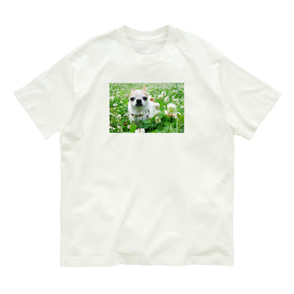 akane_art（茜音工房）のカラフルチワワ（クローバー） Organic Cotton T-Shirt