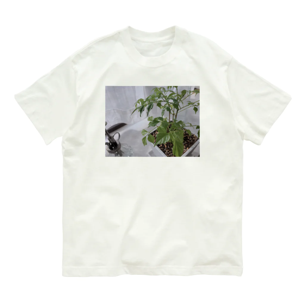 姉のぼくの草1 Organic Cotton T-Shirt