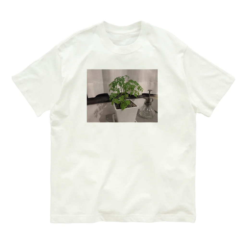 姉のぼくの草2 オーガニックコットンTシャツ