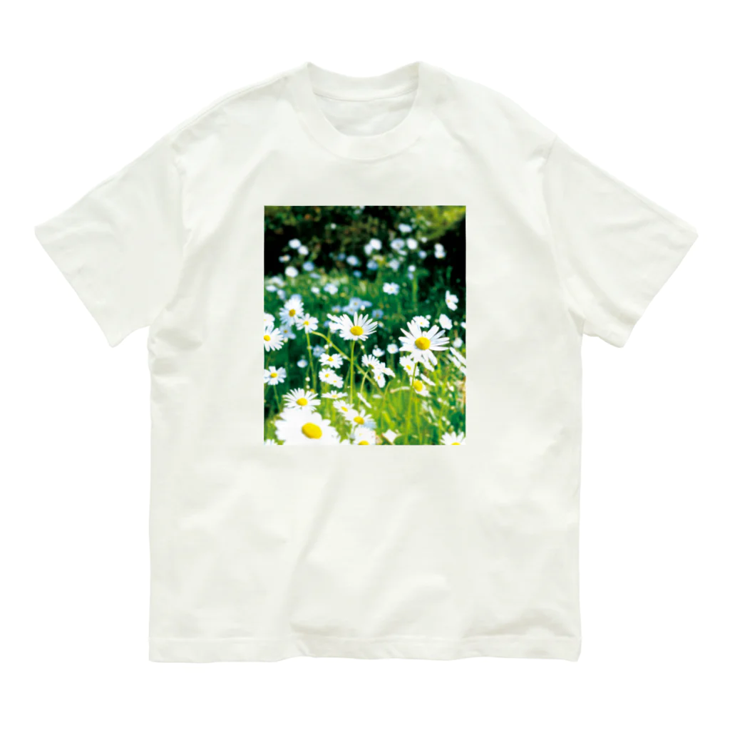 akane_art（茜音工房）の癒しの風景（シャスタデイジー） Organic Cotton T-Shirt