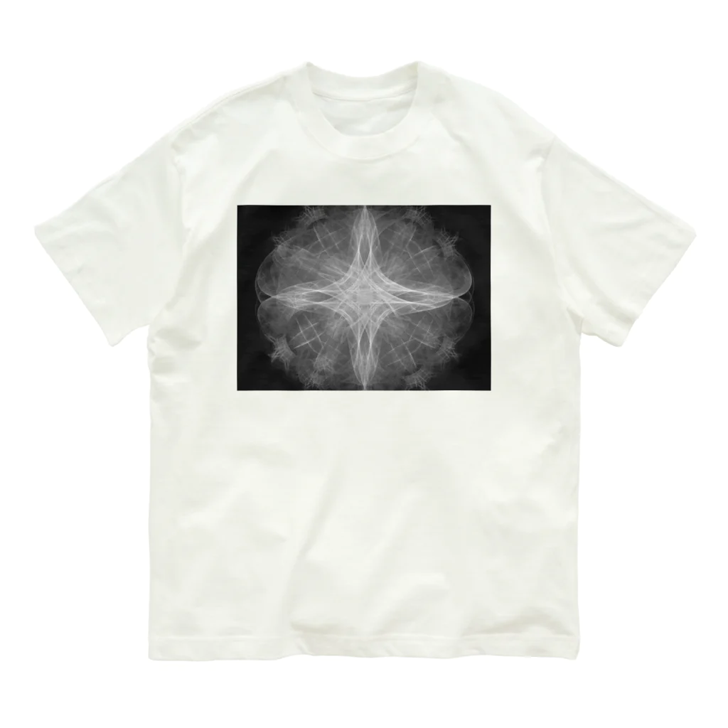 フラクタ　数学好きのあなたへのフラクタ　数学好きのあなたへ Organic Cotton T-Shirt