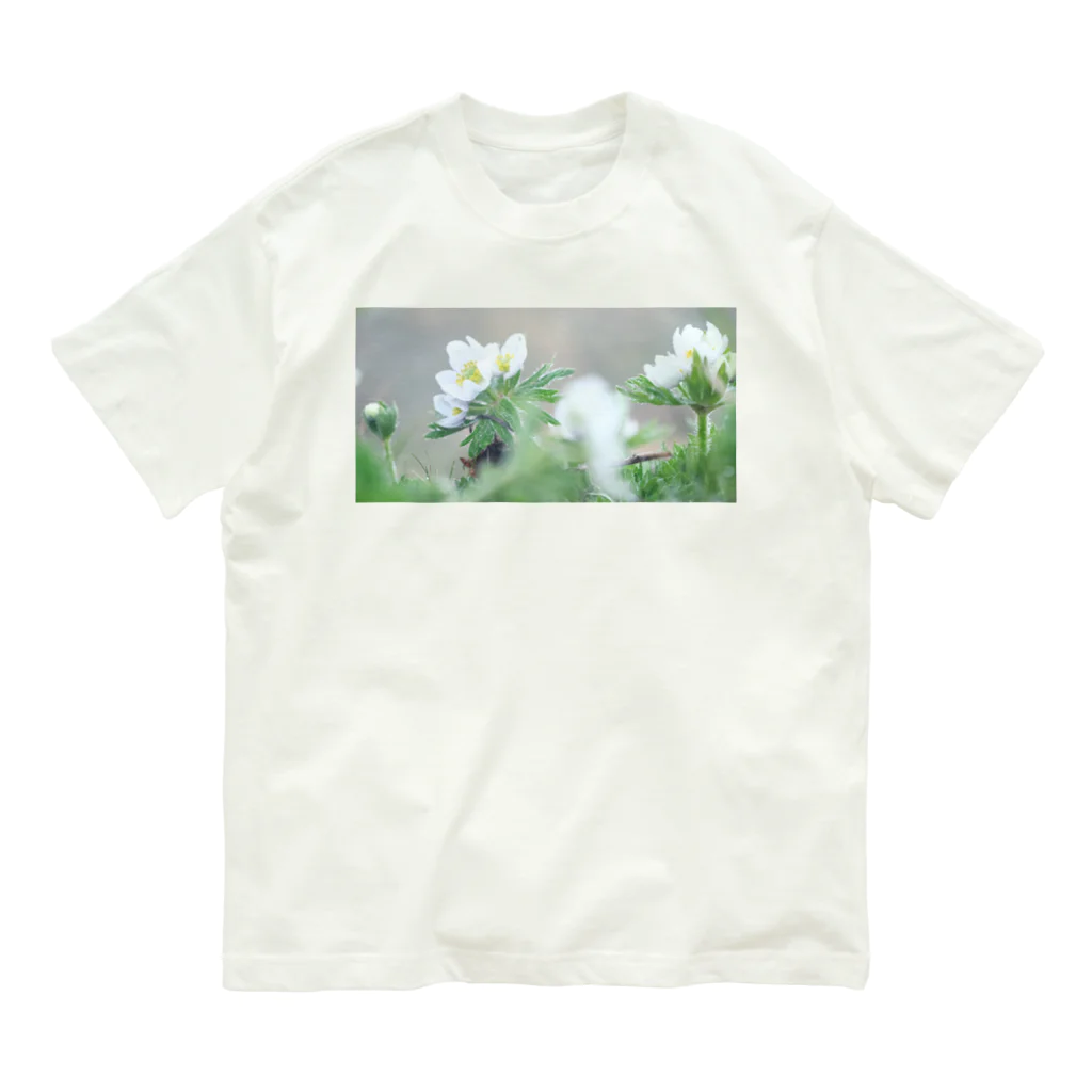 asako=niagaraの植物図鑑 ハクサンイチゲ② オーガニックコットンTシャツ