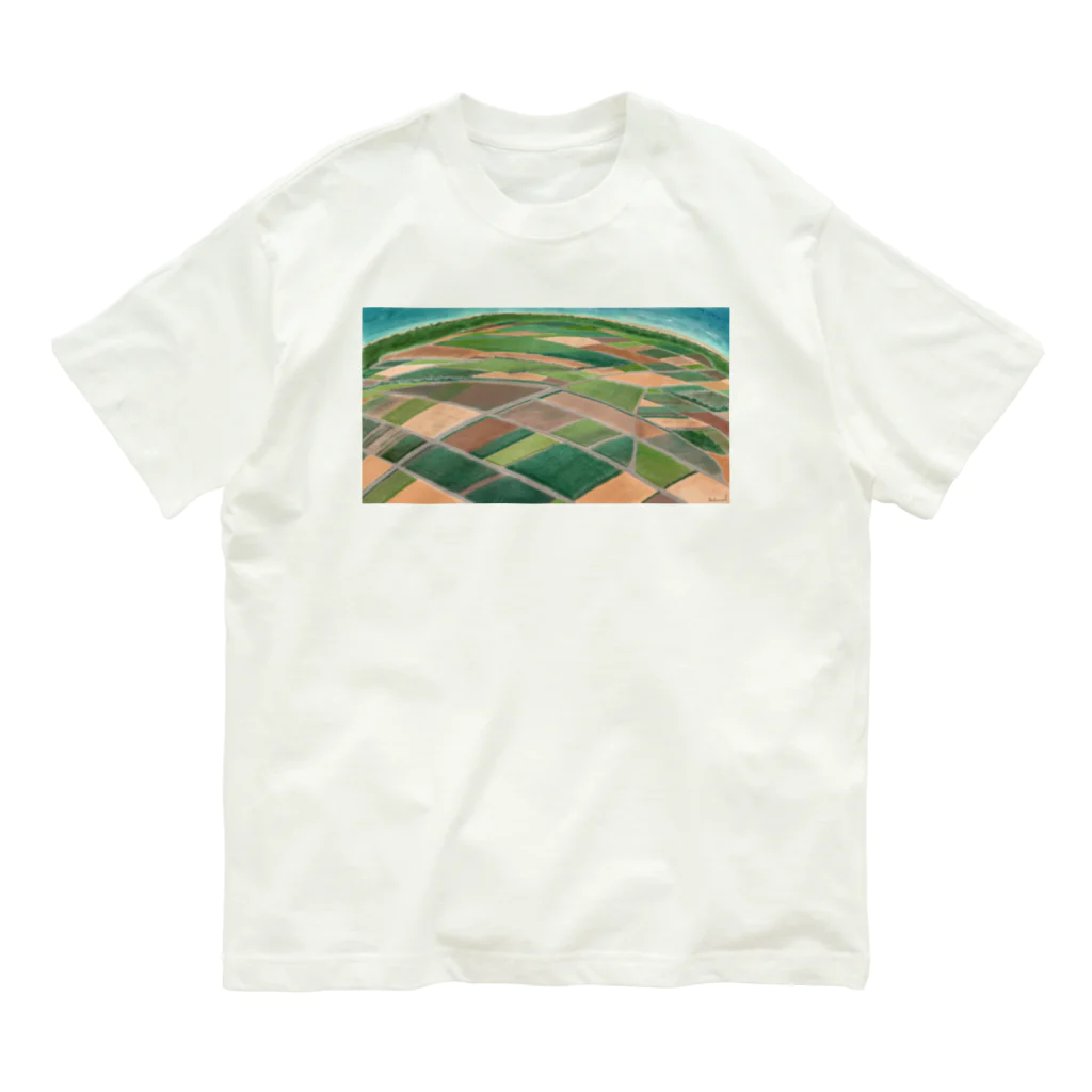 ガジュマルの箱のサトウキビ畑•沖縄（Sugarcane fields In Okinawa） オーガニックコットンTシャツ