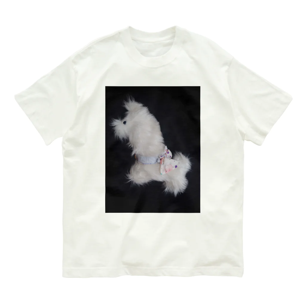 kie Laboratory のfuwa-fuwa オーガニックコットンTシャツ