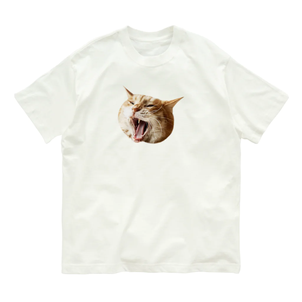 Cats & StarのScreaming Shimashima オーガニックコットンTシャツ