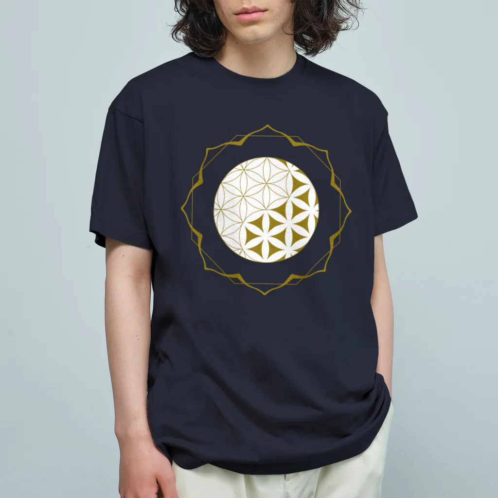 阿部耀心の氣学TシャツⅠ（背中なし） オーガニックコットンTシャツ