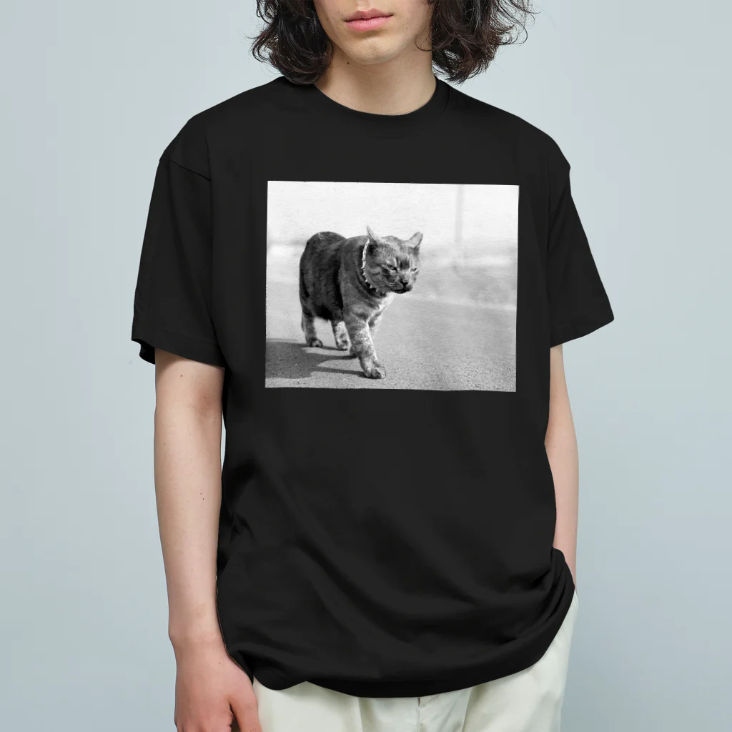 EBダイバーズのたぬきち　モノトーン　EBダイバーズ　ebdivers Organic Cotton T-Shirt