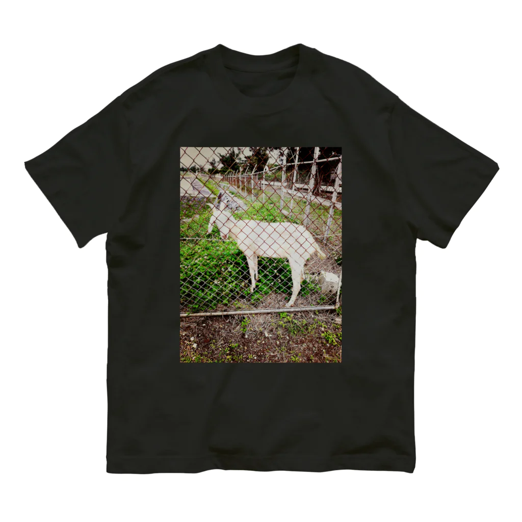 美咲商店のヤギが見てくる Organic Cotton T-Shirt