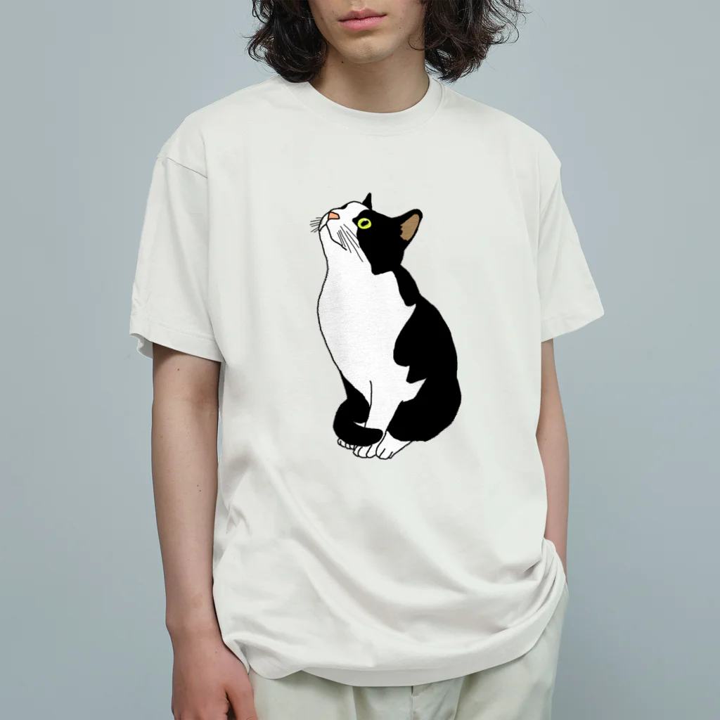 マツバラのおすわりねこ オーガニックコットンTシャツ